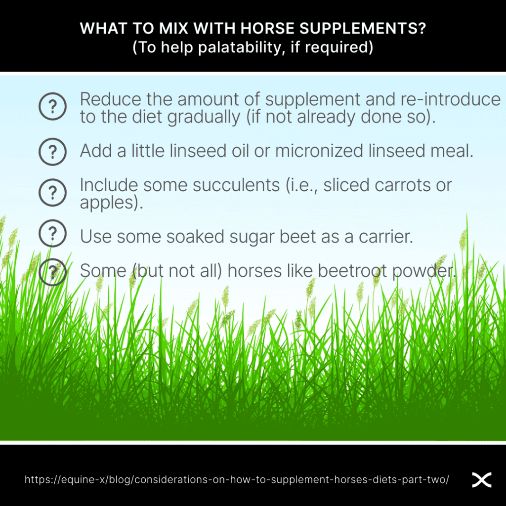 Tips on how to improve palatability when feeding supplements for horses
