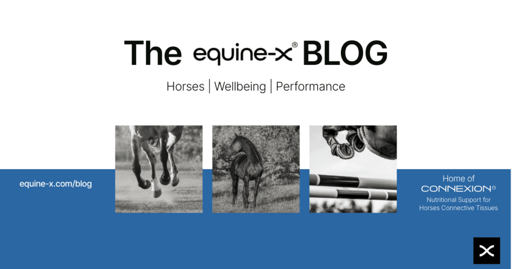 <img src="equinexblog.png" alt="visit equine-x.com/blog for more information">